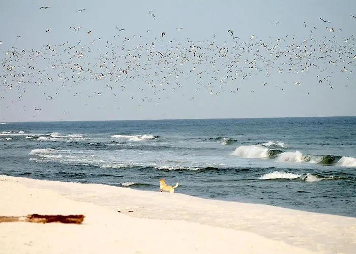 Apartamento White Pearl 4 02